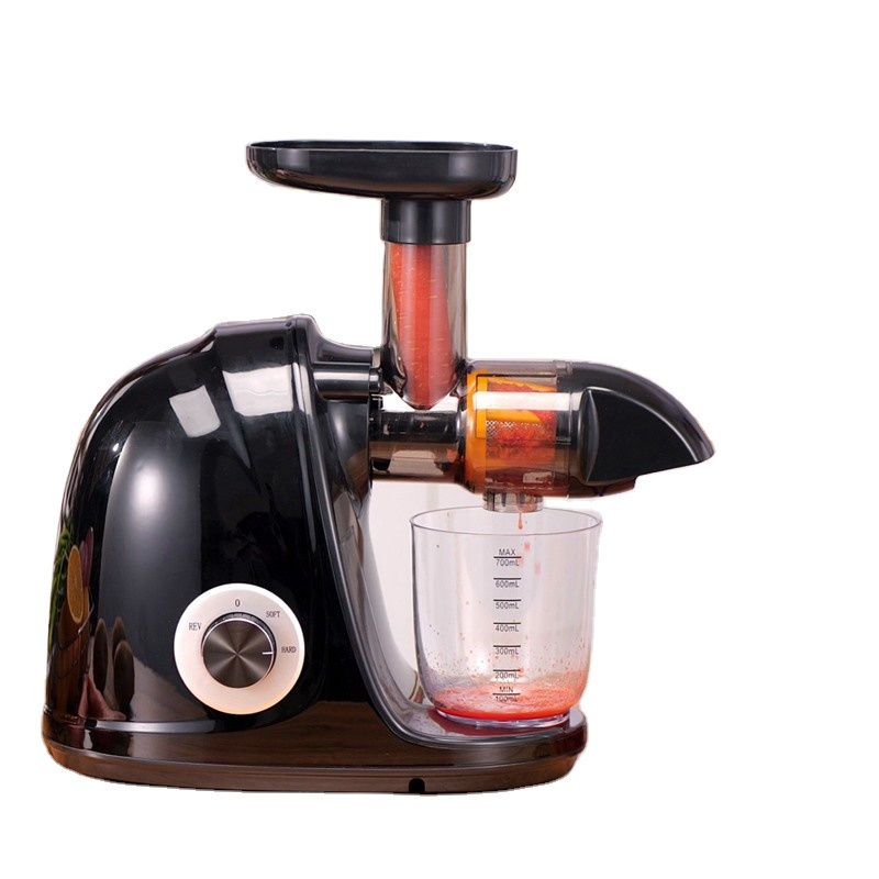 Electric Slow Juicer Cold Press - 2026-Schwarzer Horizontaler Slow Juicer – Hochwertiger