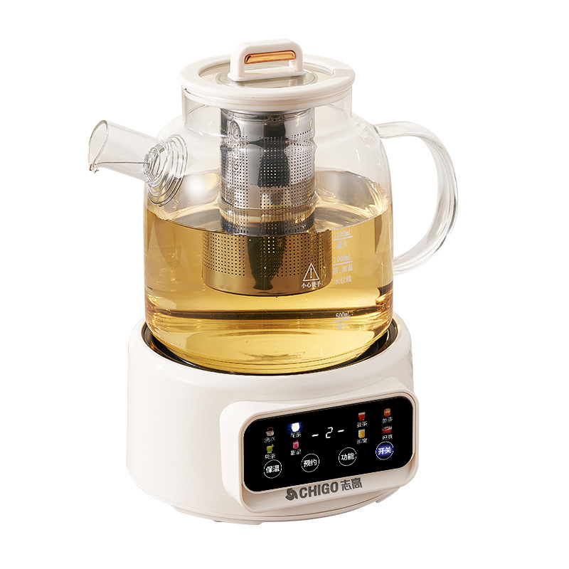 Electric Kettle Temperature Control - 600W Multifunktions-Gesundheitskessel mit Temperaturregelung, Glas-Blumenteekanne, elektrischer