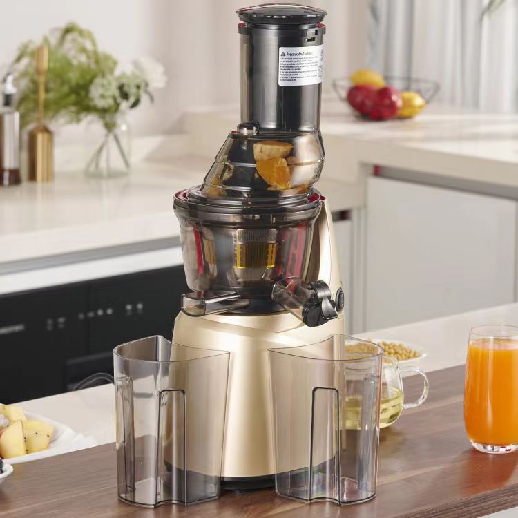 Bester multifunktionaler Kau-E – Electric Slow Juicer Cold Press Bewertung und Preis