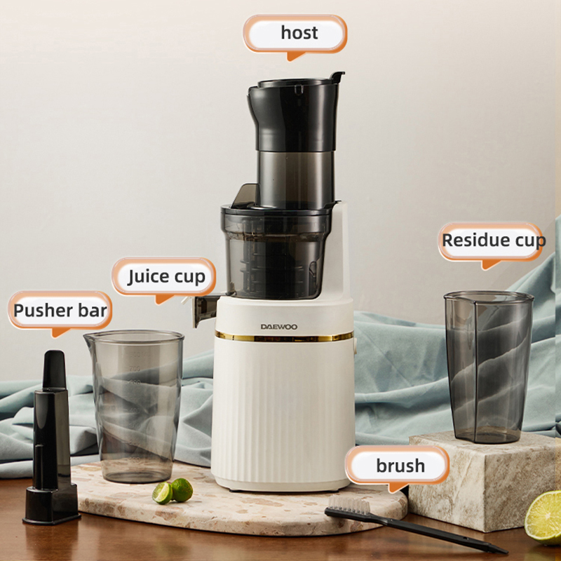 Tragbarer Mixer, elektrischer  – Electric Slow Juicer Cold Press Bewertung und Preis